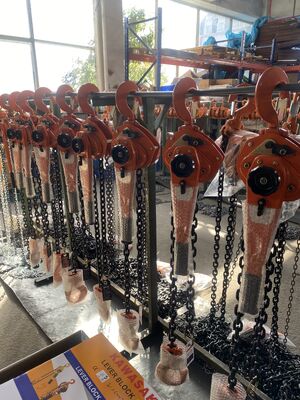 1.5m Manuel Kol Zincirli Vinç 1 Ton Kapasiteli Ağır Hizmet Tipi El Çekmeli Kaldırma Aracı Endüstriyel Donanım İçin